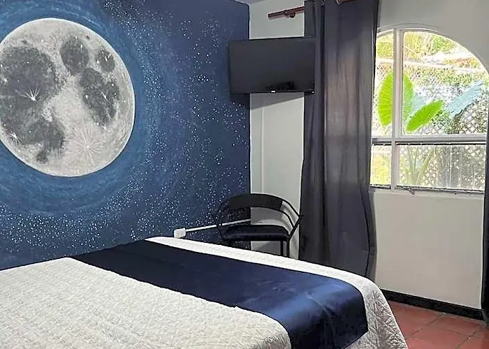 Hotel Siwo Art